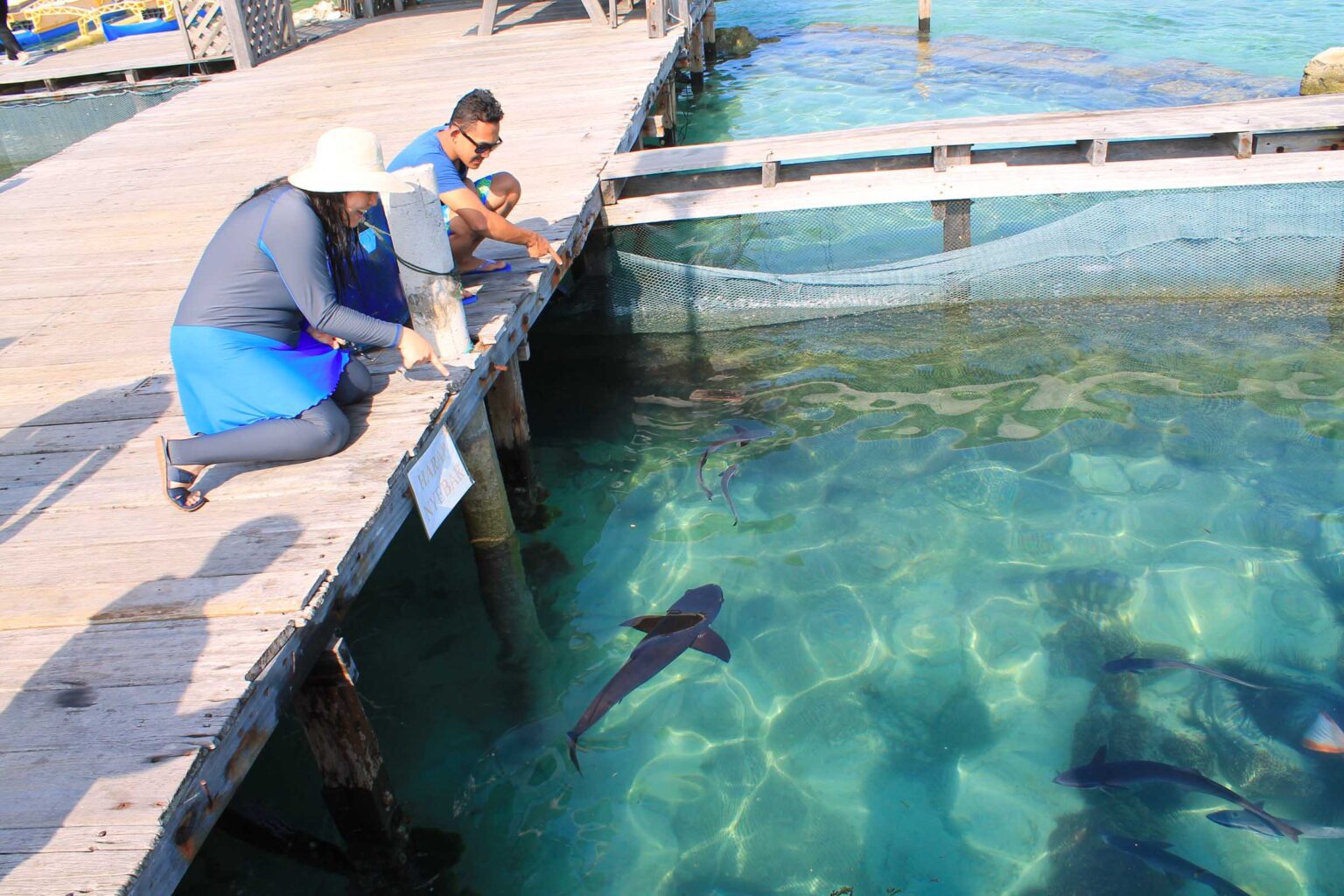 Paket Wisata Pulau Harapan